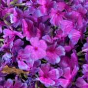 ヒメ日記 2025/08/15 10:11 投稿 葛城　ゆき 魅惑の官能アロマエステ　Eureka！八王子 ～エウレカ！～