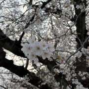 ヒメ日記 2026/04/26 16:38 投稿 葛城　ゆき 魅惑の官能アロマエステ　Eureka！八王子 ～エウレカ！～