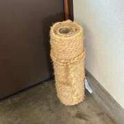 ヒメ日記 2025/06/13 18:30 投稿 るる 風俗の神様　浜松店