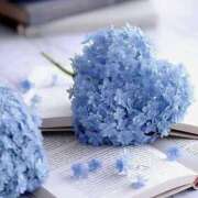 ヒメ日記 2025/06/20 12:15 投稿 神崎 あおい Men's relaxation VEGA