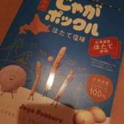 ヒメ日記 2023/11/07 13:08 投稿 あぐねす 愛特急2006　東海本店