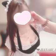 ヒメ日記 2025/01/29 17:43 投稿 りお 花火-hanabi-(すすきの)