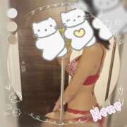 ヒメ日記 2025/06/15 02:58 投稿 ねね DeepLovers（ディープラバーズ）