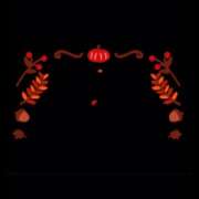 ヒメ日記 2025/11/01 07:35 投稿 めぐみ 横浜人妻花壇本店