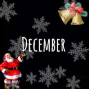 ヒメ日記 2025/12/01 06:03 投稿 めぐみ 横浜人妻花壇本店