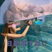 ヒメ日記 2026/02/17 14:24 投稿 めぐみ 横浜人妻花壇本店