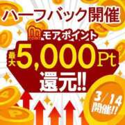 ヒメ日記 2026/03/13 13:07 投稿 めぐみ 横浜人妻花壇本店
