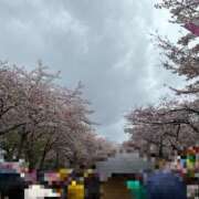 ヒメ日記 2026/04/04 18:46 投稿 めぐみ 横浜人妻花壇本店