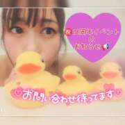 ヒメ日記 2025/03/12 23:33 投稿 まろん 横浜人妻花壇本店