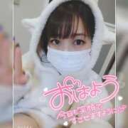 ヒメ日記 2025/03/29 07:35 投稿 まろん 横浜人妻花壇本店