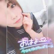 ヒメ日記 2025/03/31 07:53 投稿 まろん 横浜人妻花壇本店