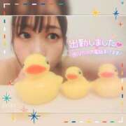 ヒメ日記 2025/04/19 10:13 投稿 まろん 横浜人妻花壇本店