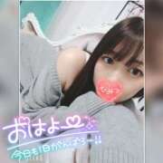 ヒメ日記 2025/04/24 06:58 投稿 まろん 横浜人妻花壇本店