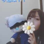 ヒメ日記 2025/04/28 23:36 投稿 まろん 横浜人妻花壇本店