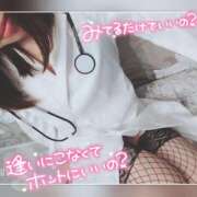 ヒメ日記 2025/05/18 10:17 投稿 まろん 横浜人妻花壇本店