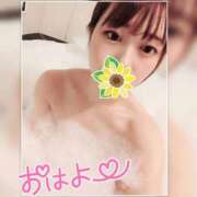 ヒメ日記 2025/06/19 07:45 投稿 まろん 横浜人妻花壇本店