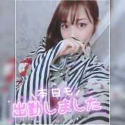 ヒメ日記 2025/07/20 10:05 投稿 まろん 横浜人妻花壇本店