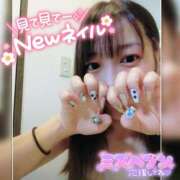 ヒメ日記 2025/09/14 16:34 投稿 まろん 横浜人妻花壇本店