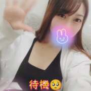 ヒメ日記 2025/10/18 14:16 投稿 まろん 横浜人妻花壇本店