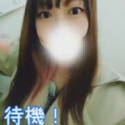 ヒメ日記 2025/11/16 12:11 投稿 まろん 横浜人妻花壇本店