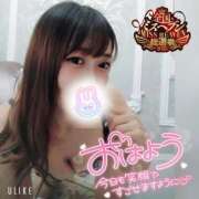 ヒメ日記 2025/11/17 08:53 投稿 まろん 横浜人妻花壇本店