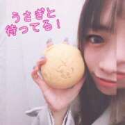 まろん うさぎ！ 横浜人妻花壇本店