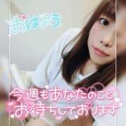 ヒメ日記 2026/01/13 10:13 投稿 まろん 横浜人妻花壇本店