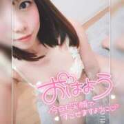 ヒメ日記 2026/02/08 08:14 投稿 まろん 横浜人妻花壇本店