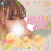 ヒメ日記 2026/03/17 23:47 投稿 まろん 横浜人妻花壇本店