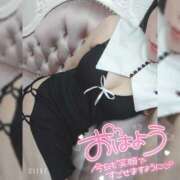 まろん 絶対！ 横浜人妻花壇本店