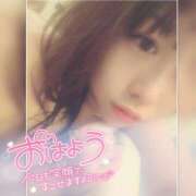 ヒメ日記 2026/07/08 06:44 投稿 まろん 横浜人妻花壇本店