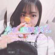 ヒメ日記 2026/08/17 10:41 投稿 まろん 横浜人妻花壇本店