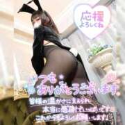 ヒメ日記 2026/09/01 00:12 投稿 まろん 横浜人妻花壇本店