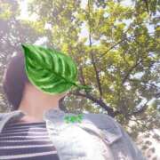 ヒメ日記 2025/05/28 13:57 投稿 さやさ 横浜人妻花壇本店