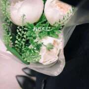 ヒメ日記 2025/06/12 15:20 投稿 さやさ 横浜人妻花壇本店