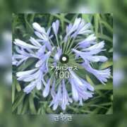 ヒメ日記 2025/06/21 20:51 投稿 さやさ 横浜人妻花壇本店