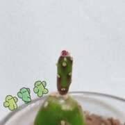 ヒメ日記 2025/06/22 15:37 投稿 さやさ 横浜人妻花壇本店