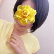 ヒメ日記 2025/07/07 11:07 投稿 さやさ 横浜人妻花壇本店