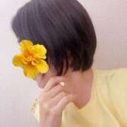 ヒメ日記 2025/07/19 16:51 投稿 さやさ 横浜人妻花壇本店