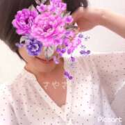 ヒメ日記 2025/07/24 11:02 投稿 さやさ 横浜人妻花壇本店