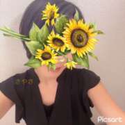 ヒメ日記 2025/09/01 11:51 投稿 さやさ 横浜人妻花壇本店