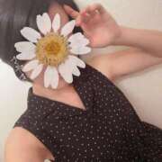 ヒメ日記 2025/10/15 12:05 投稿 さやさ 横浜人妻花壇本店