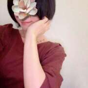 ヒメ日記 2025/11/16 13:27 投稿 さやさ 横浜人妻花壇本店