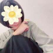 ヒメ日記 2025/11/20 15:30 投稿 さやさ 横浜人妻花壇本店