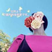 ヒメ日記 2025/11/22 09:35 投稿 さやさ 横浜人妻花壇本店