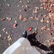 ヒメ日記 2025/12/01 11:10 投稿 さやさ 横浜人妻花壇本店