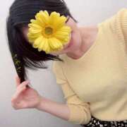 ヒメ日記 2025/12/01 16:03 投稿 さやさ 横浜人妻花壇本店