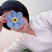 ヒメ日記 2025/12/08 10:20 投稿 さやさ 横浜人妻花壇本店