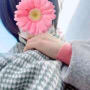 ヒメ日記 2026/01/11 11:23 投稿 さやさ 横浜人妻花壇本店