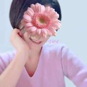 さやさ さやさです。 横浜人妻花壇本店